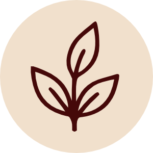 Dignified Livelihoods